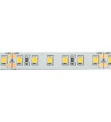 LED pásek bílý 12V 4,8-24W/m IP00